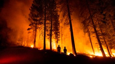 احترق حريق ديكسي أكثر من 200000 فدان.  الصورة: آبي